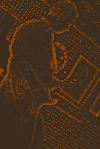 Butch-dark-orange_kl